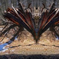 Встреча нежданная... :: Владимир Шошин Встреча нежданная... :: Владимир Шошин