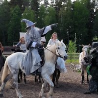 Властелин колец в Яви Нави. :: Ольга 