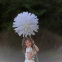 Одуванчик :: Ольга Юртаева