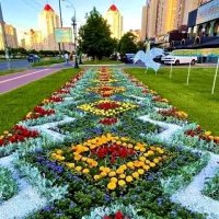 Квітковий орнамент :: Степан Карачко