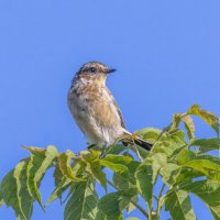 . :: юрий макаров