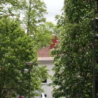 Весна в городе :: rimgis 