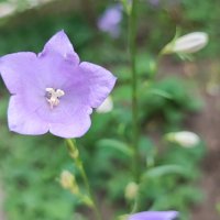 ,,, :: Сергей Тимоновский