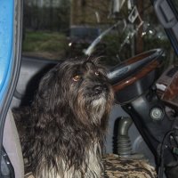 Ждем водителя :: Джованни Луче