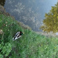 береговая линия :: Галина R...