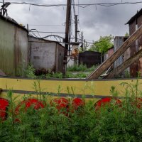 *** :: Валерий Михмель 