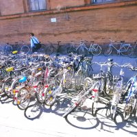 * * * :: Алёна Савина * * * :: Алёна Савина