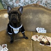 «Большая игра» :: Анна Камс «Большая игра» :: Анна Камс