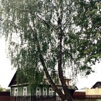 *** :: Валентина Береснева