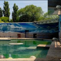 В ростовском зоопарке :: Нина Бутко В ростовском зоопарке :: Нина Бутко