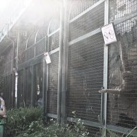 *** :: Сергей Сергеев