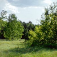 Начало лета в лесах Чернолучья :: Сергей Царёв