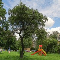 *** :: Роланд Дубровский