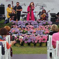 живая музыка :: Олег Лукьянов живая музыка :: Олег Лукьянов