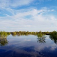 Заливные луга :: Сергей Швечков
