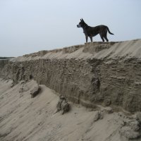 У протоки :: Anna Ivanova У протоки :: Anna Ivanova