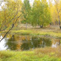 Осень в городе.. :: Василий 