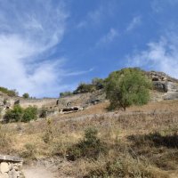 Природа Крыма :: Amazing Cosmea