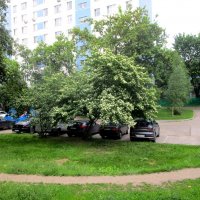 Городские зарисовки. :: Ольга Довженко