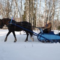 Домотканово :: Роман Шаров