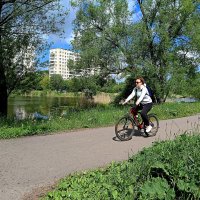 Летним днём в парке... :: Мария Васильева