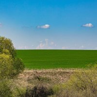 Прогулка по окрестностям :: Юра Викулин