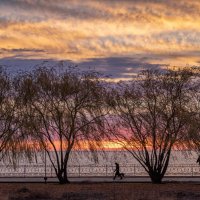 Ветренное утро :: Константин Бобинский