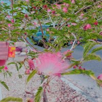 13  ОПЕН (104) :: OPEN WAYS ALL