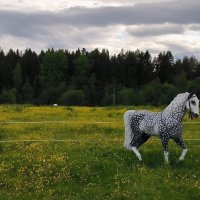 Кони в яблоках, кони серые.. :: Ольга 