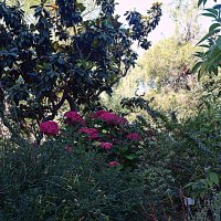 Барселона. :: Владимир Драгунский