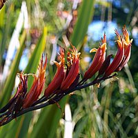 Барселона. :: Владимир Драгунский