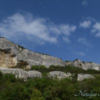 Природа Крыма :: Amazing Cosmea