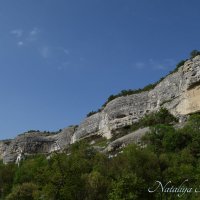 Природа Крыма :: Amazing Cosmea