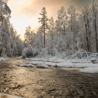 Линдуловская роща :: skijumper Иванов