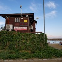 На Мёртвом море. :: Светлана Хращевская