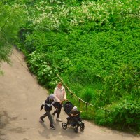 Не пора-ли косить?.. :: Юрий Куликов Не пора-ли косить?.. :: Юрий Куликов