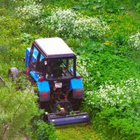 Через "бурное море" !.. :: Юрий Куликов