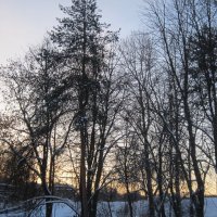 Февральское утро :: Дмитрий Никитин