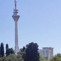 В Ботаническом саду :: Ирэн 