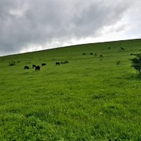 Путешествие по северному Кавказу :: Tata Wolf