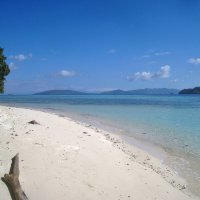 На острове Мансуар, в Индонезии. :: unix (Илья Утропов)