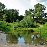 "Бабий переход" на речке Свинцовке. Самое мелкое место. :: Восковых Анна Васильевна 