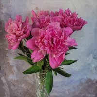 Июнь время пионов и клубники :: Татьяна Машошина