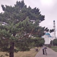 Июнь :: Андрей Хлопонин