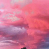 Новый день :: Георгиевич Новый день :: Георгиевич