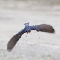 Своевременная доставка стройматериала :: Любовь Сахарова