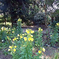 Барселона. :: Владимир Драгунский