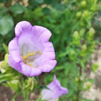 ,,, :: Сергей Тимоновский ,,, :: Сергей Тимоновский