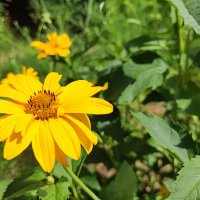 ,,, :: Сергей Тимоновский