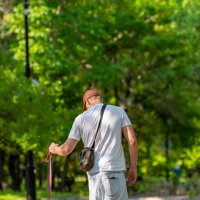 Выгул хозяина) :: Сергей Флетчер